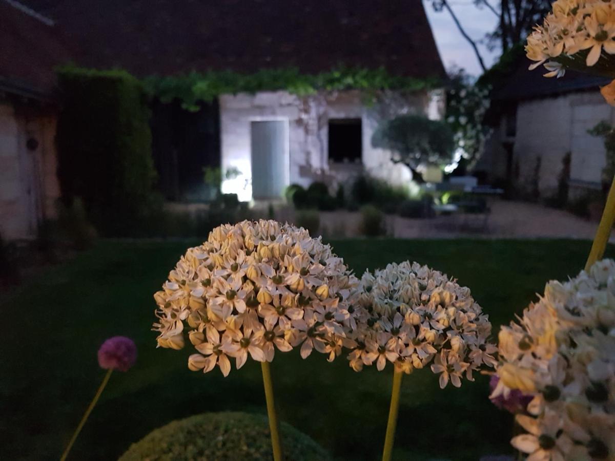 Le Clos Falaw Azay-sur-Cher Bagian luar foto
